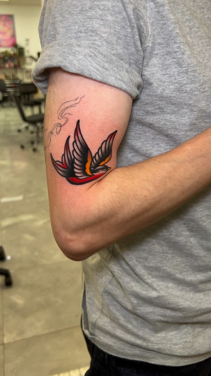 A swallow tattoo in American traditional style on a person's upper arm.