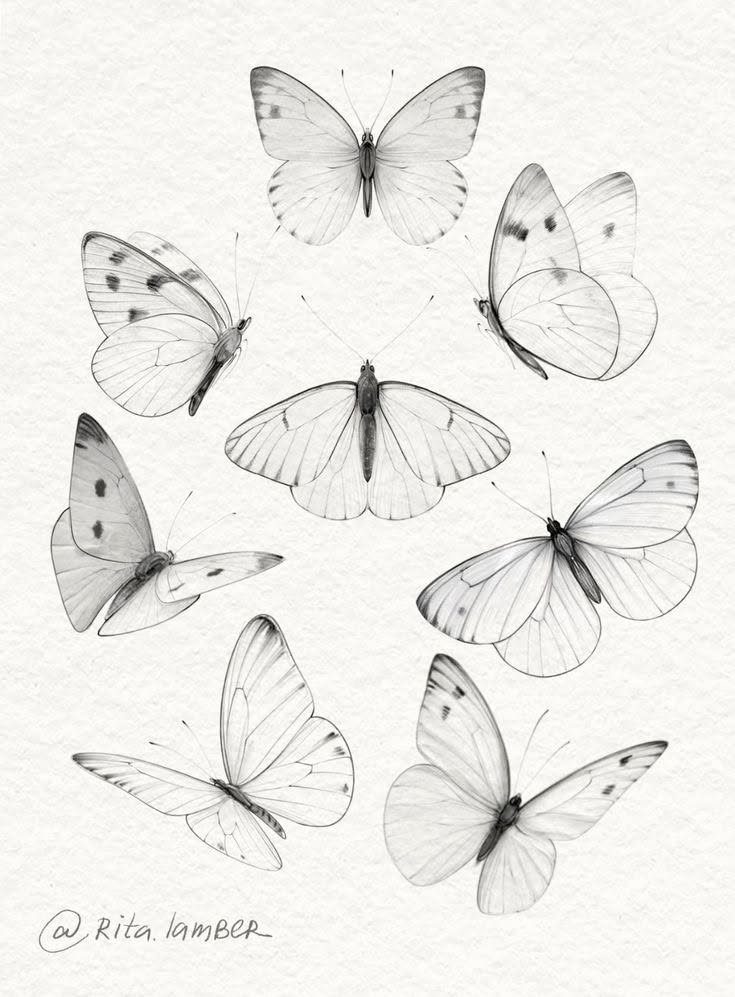 Seven black ink butterfly sketches arranged in a circular pattern on textured white paper.