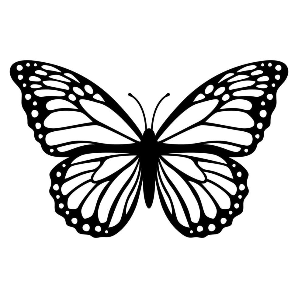 Black ink monarch butterfly illustration with detailed wing patterns on a white background.