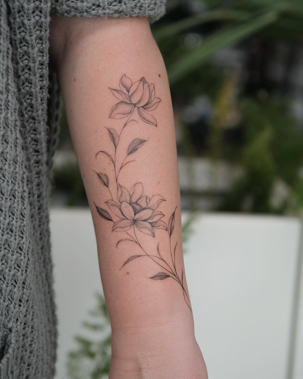A fine line black ink lotus flower and vine tattoo on a person's forearm.
