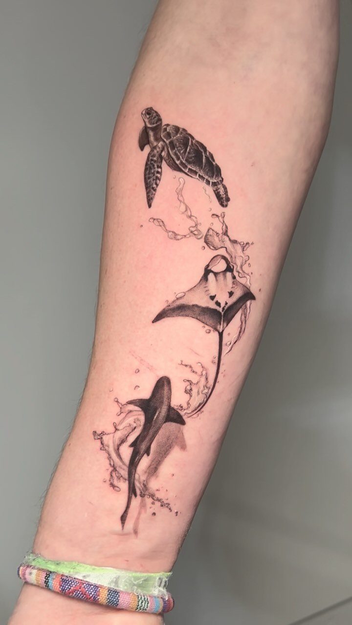 10 Ocean Themed Tattoos: From Fine Line Turtles to Black and Grey Mantas 3 Black and grey tattoos of a sea turtle, manta ray, and shark on a person's forearm.
