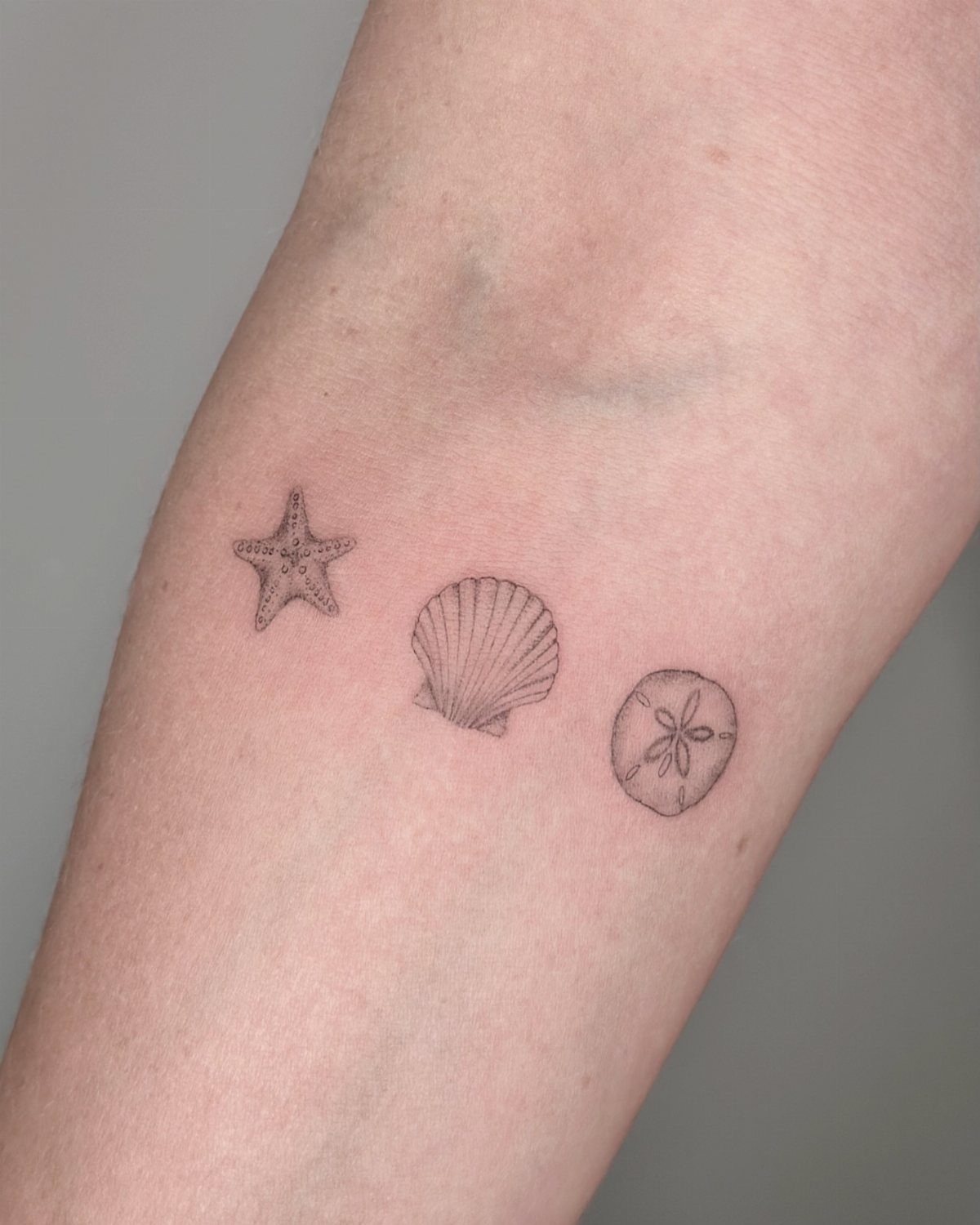 10 Ocean Themed Tattoos: From Fine Line Turtles to Black and Grey Mantas 9 Three small fine line tattoos of a starfish, seashell, and sand dollar on skin.