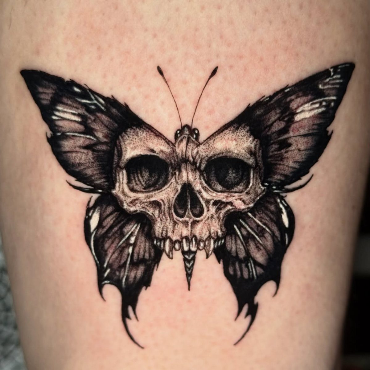 A black and grey tattoo of a butterfly with a human skull as its body.