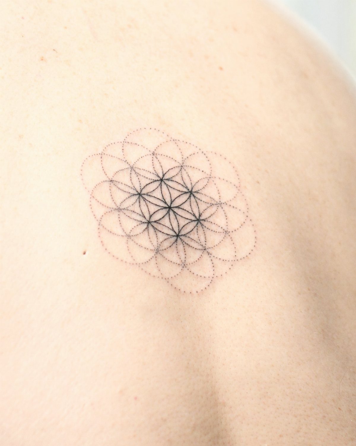 22 Tattoo Pattern Floral Ideas for Arms, Ribs & Full Sleeves 17 A geometric Flower of Life tattoo composed of fine black lines on human skin.